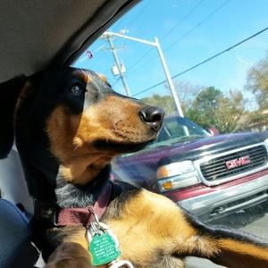 Meet your Posher, Teri